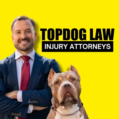 TopDog Law Personal Injury Lawyers - personal injury law firm in Chicago, Illinois